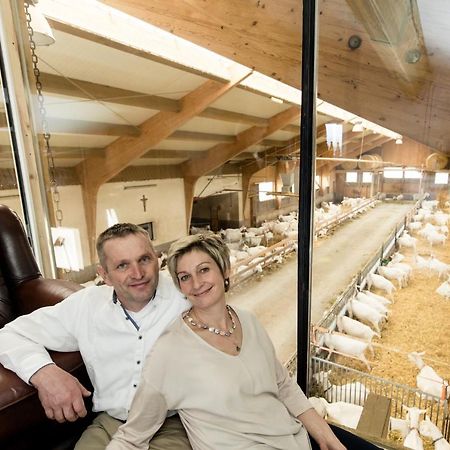 Auszeit Am Ziegenhof Nur Fuer Erwachsene Lejlighed Schlierbach Eksteriør billede