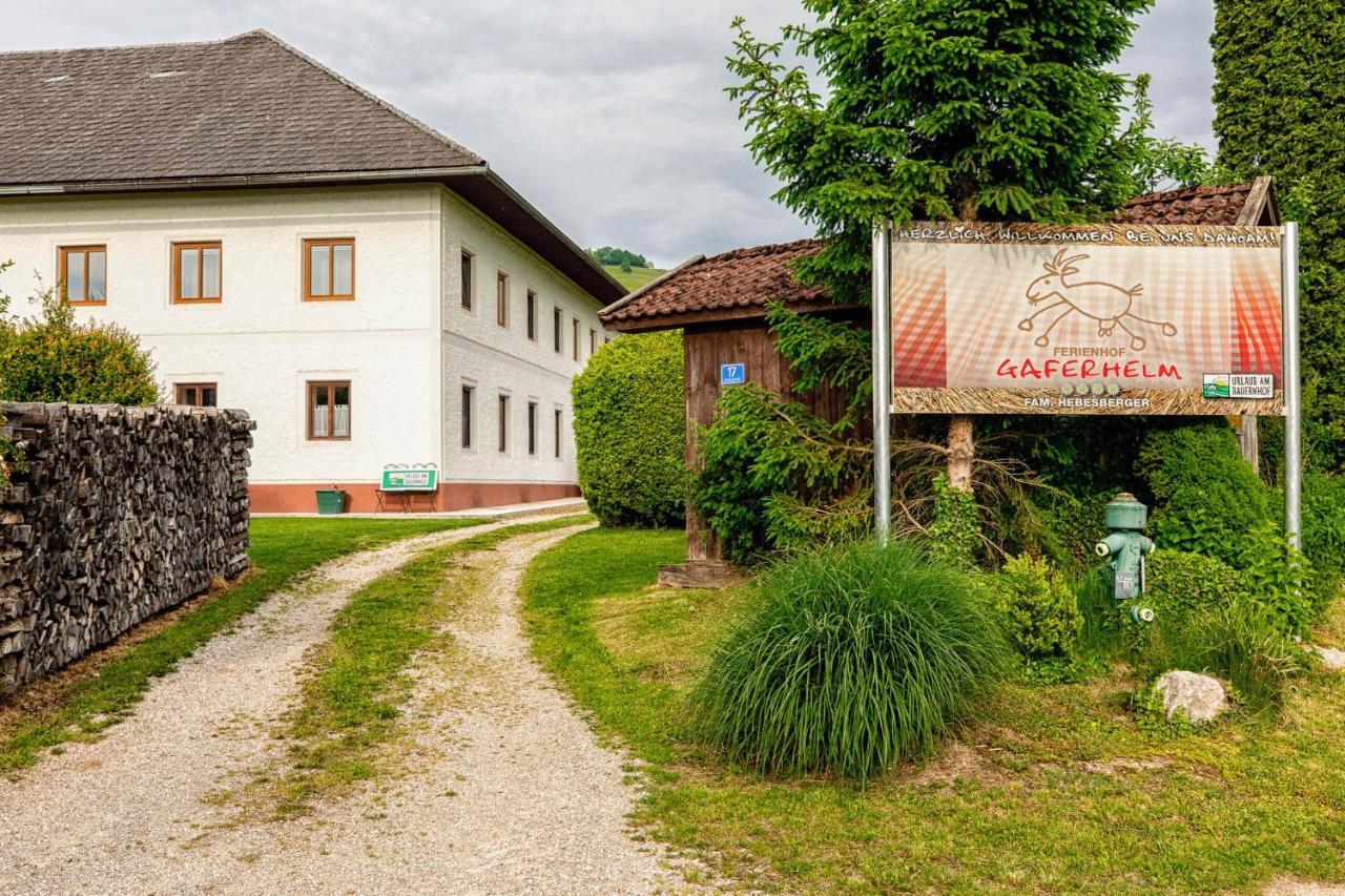Auszeit Am Ziegenhof Nur Fuer Erwachsene Lejlighed Schlierbach Eksteriør billede