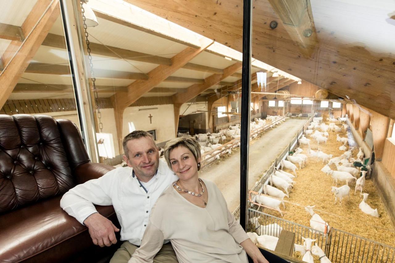 Auszeit Am Ziegenhof Nur Fuer Erwachsene Lejlighed Schlierbach Eksteriør billede